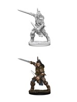 WizKids WK72596 PF Human Male Fighter WV1
