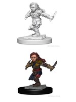 WizKids WK72627 DND Halfling Female Rogue WV1