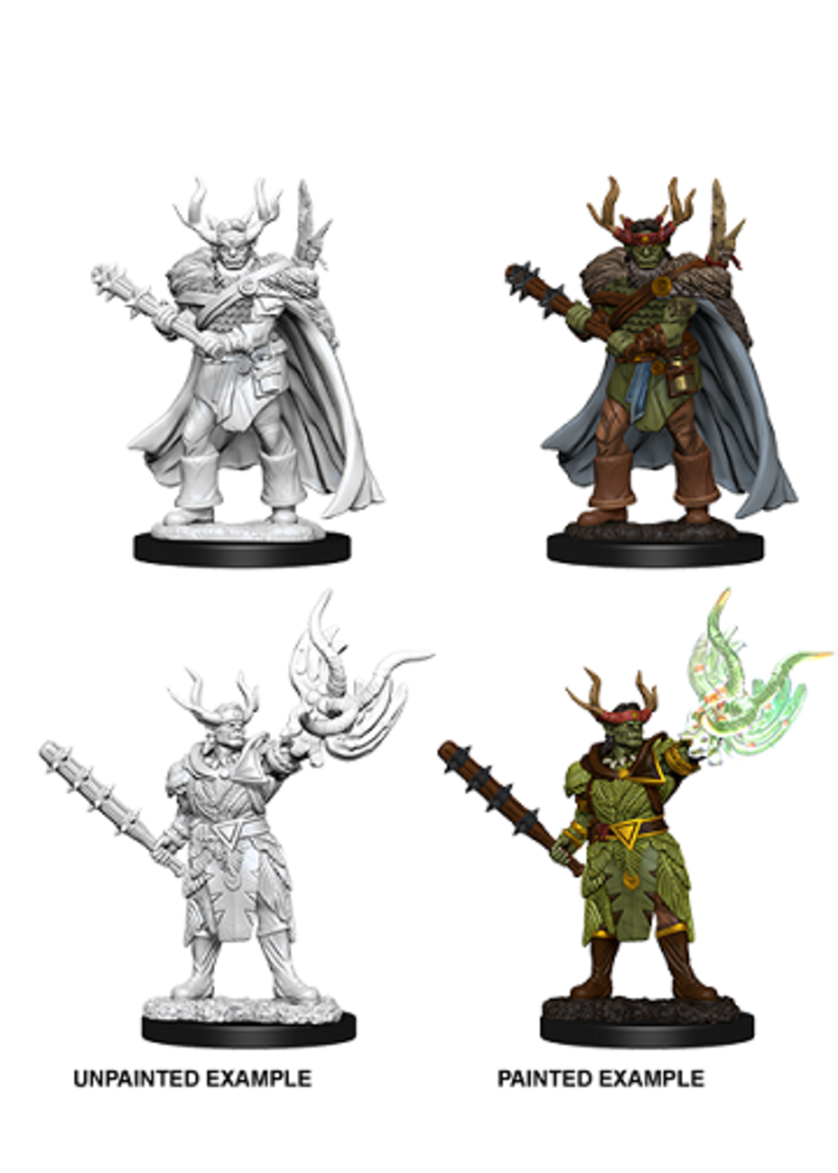 WizKids WK73853 PF Half-Orc Druid WV10