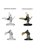 WizKids WK72642 DND Elf Female Druid WV4
