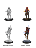 WizKids WK90058 DND Tiefling Male Sorcerer WV12