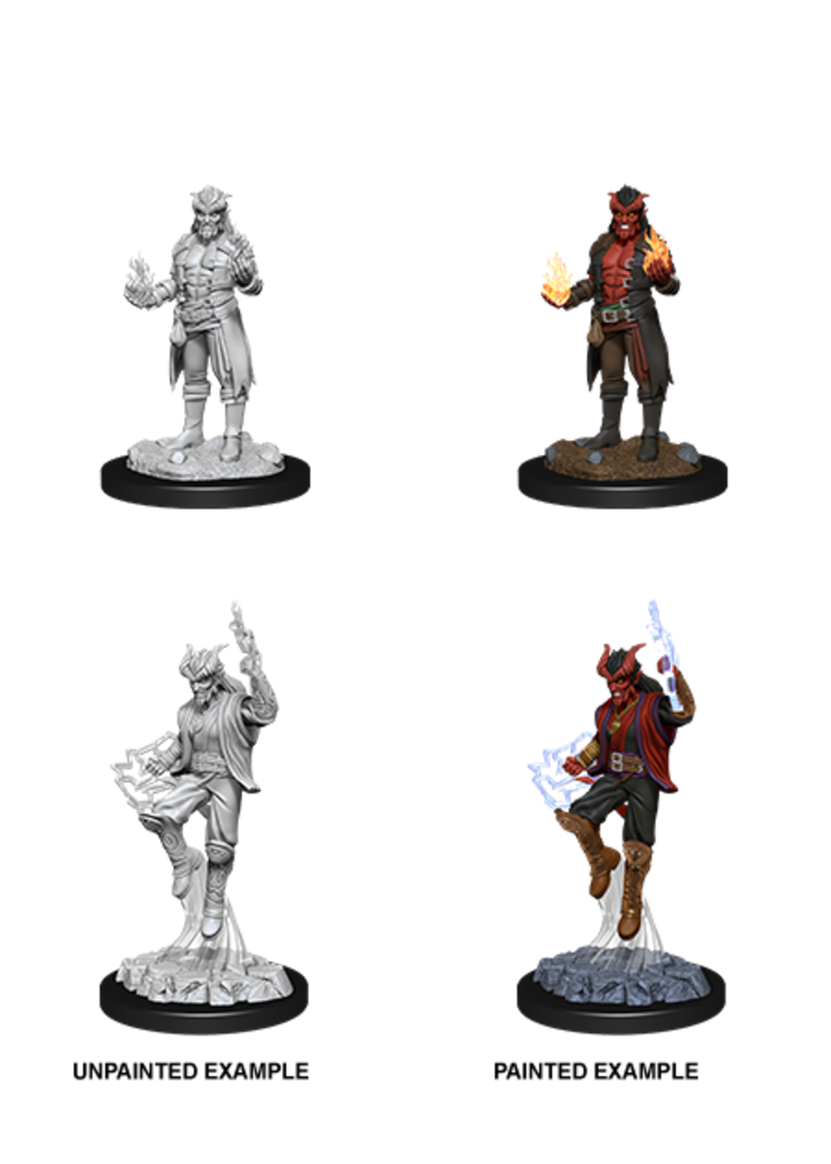 WizKids WK90058 DND Tiefling Male Sorcerer WV12