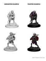 WizKids WK73189 DND Drow WV4