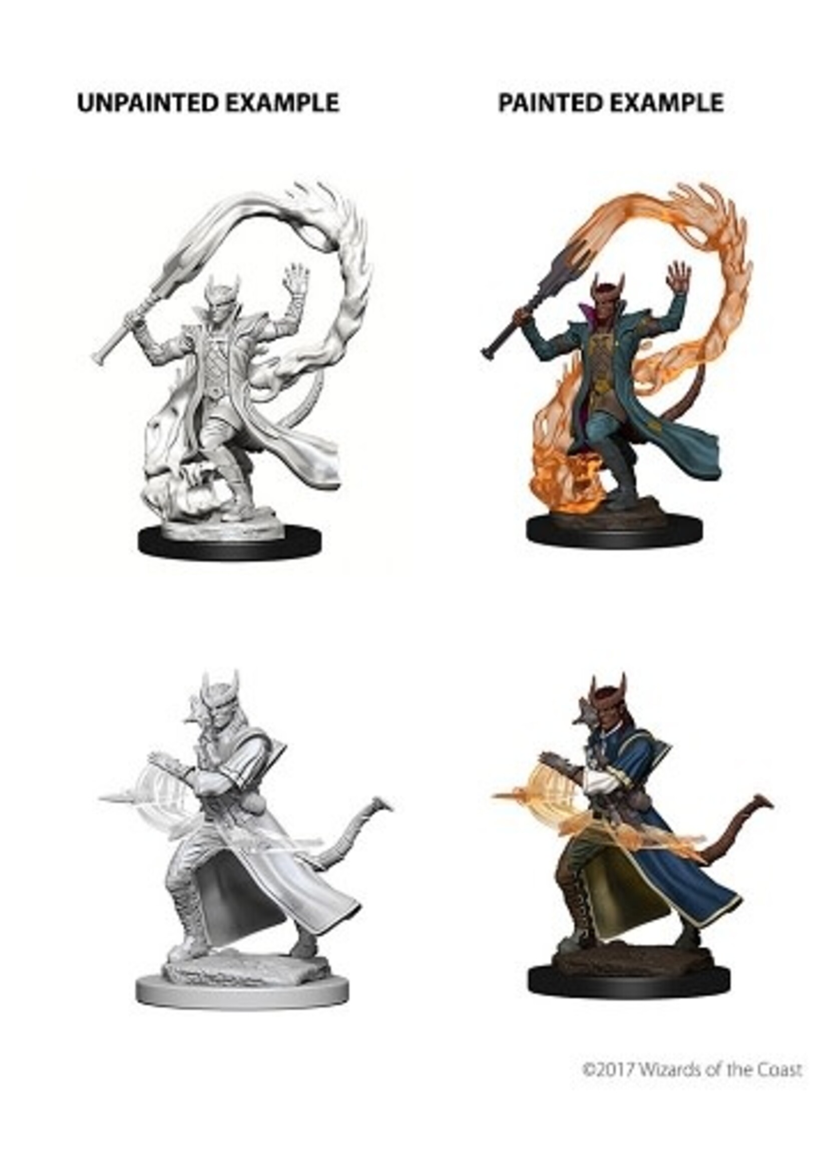 WizKids WK73201 DND Tiefling Male Sorcerer WV4