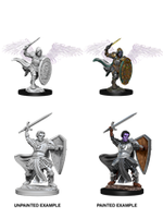 WizKids WK73342 DND Aasimar Male Paladin WV5