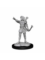 WizKids WK90143 DND Elf Female Ranger WV13