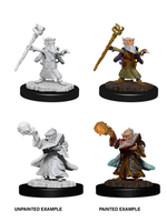 WizKids WK73382 DND Gnome Male Wizard WV6