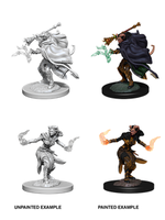 WizKids WK73389 DND Tiefling Female Warlock WV6