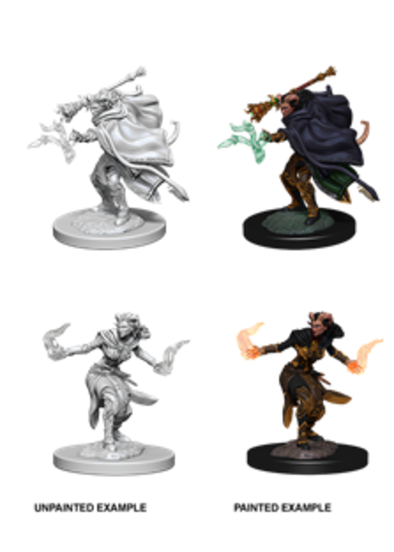 WizKids WK73389 DND Tiefling Female Warlock WV6