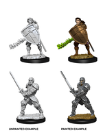 WizKids WK73673 DND Human Male Fighter WV8
