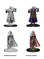 WizKids WK73675 DND Minsc & Delina WV8
