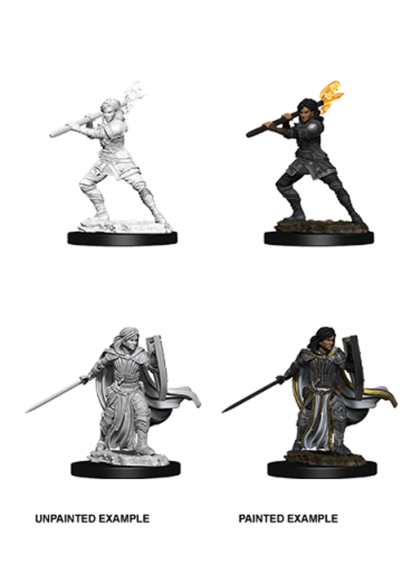 WizKids WK73830 DND Human Female Paladin WV10