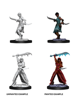 WizKids WK73831 DND Human Female Rogue WV10