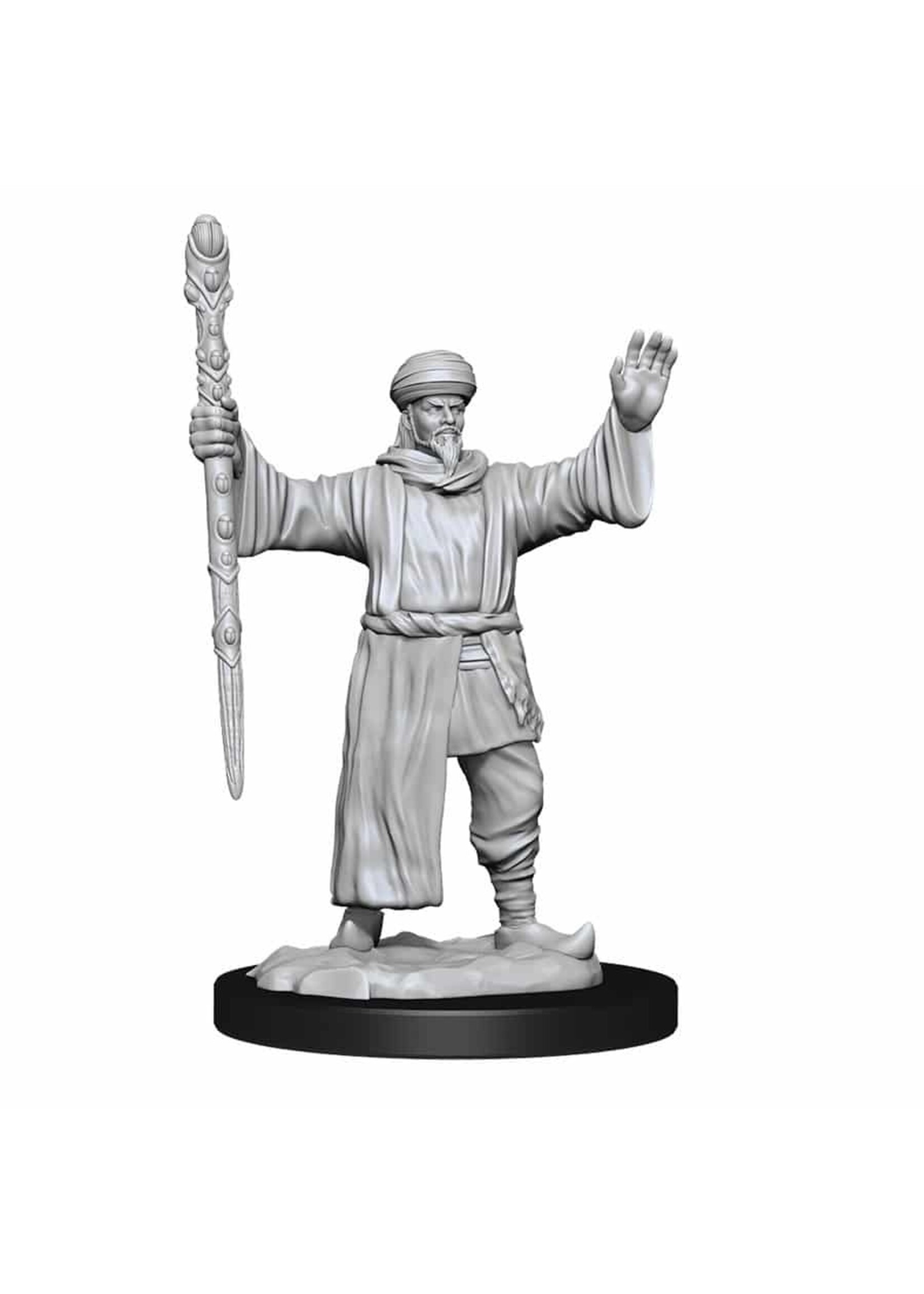 WizKids WK90137 DND Human Male Wizard WV13