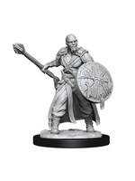 WizKids WK90138 DND Human Male Barbarian WV13