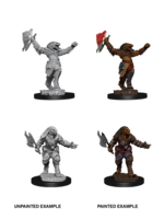 WizKids WK90001 DND Dragonborn Female Fighter WV11