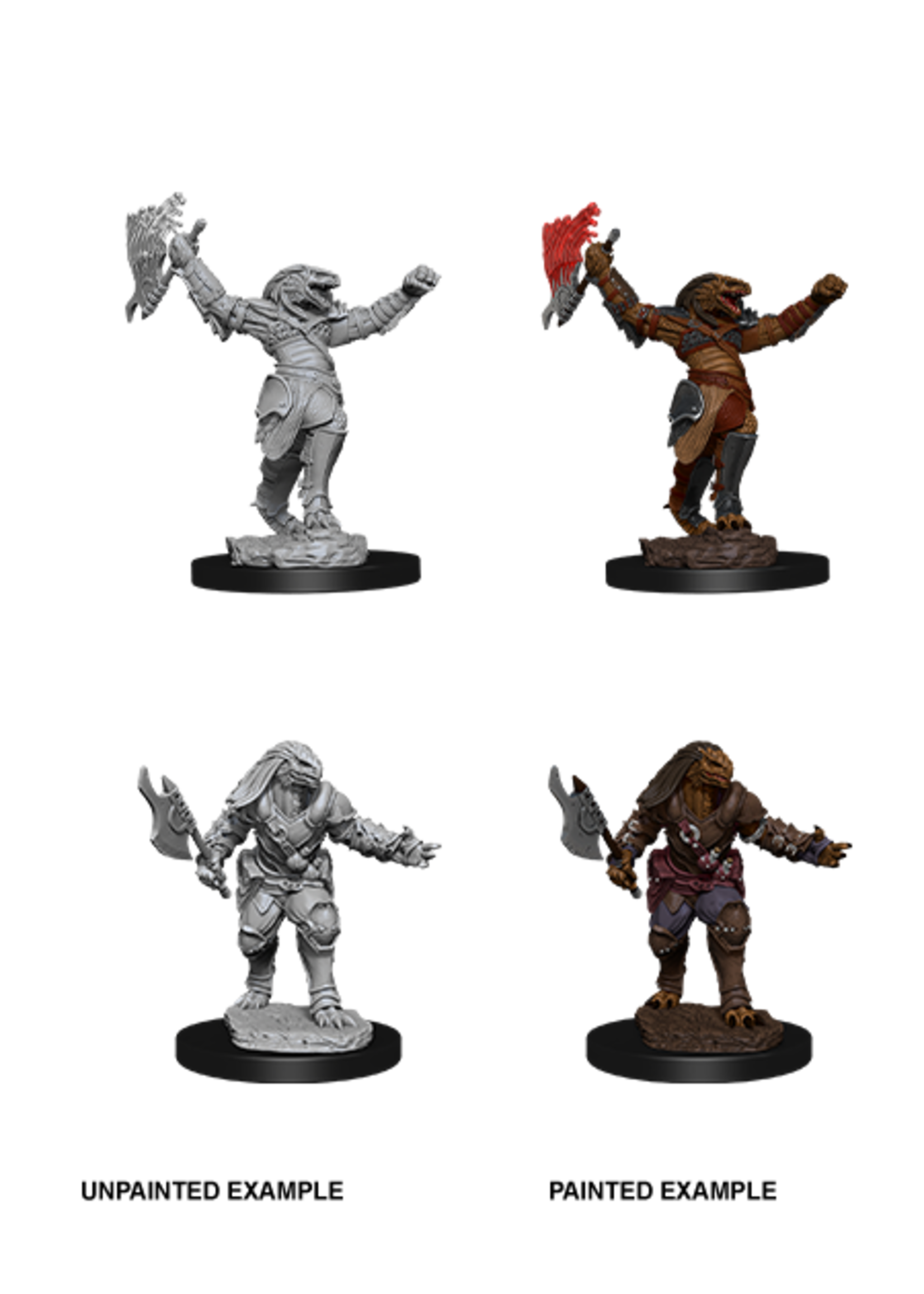 WizKids WK90001 DND Dragonborn Female Fighter WV11