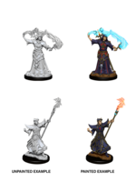 WizKids WK90052 PF Human Male Sorcerer WV11