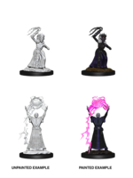 WizKids WK90071 DND Drow Mage & Priestess WV12