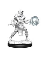 WizKids WK90150 DND Human Male Fighter/Wizard WV13