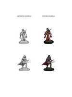 WizKids WK72610 PF Human Female Bard WV4