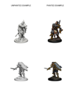 WizKids WK72629 DND Human Male Paladin WV3