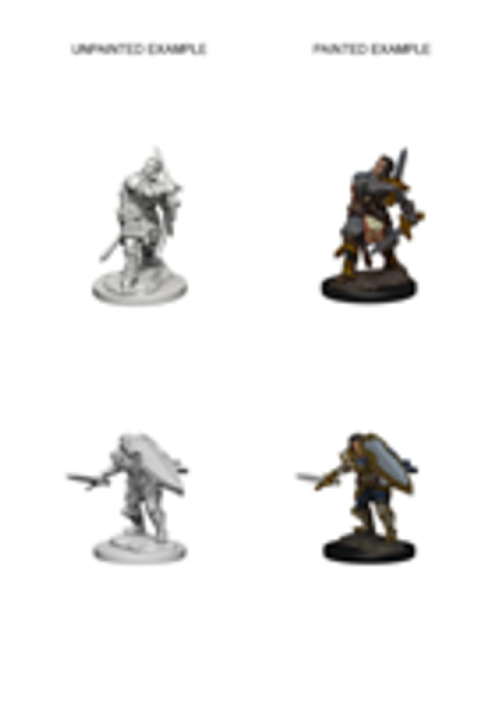 WizKids WK72629 DND Human Male Paladin WV3