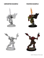 WizKids WK73199 DND Dragonborn Female Fighter WV4