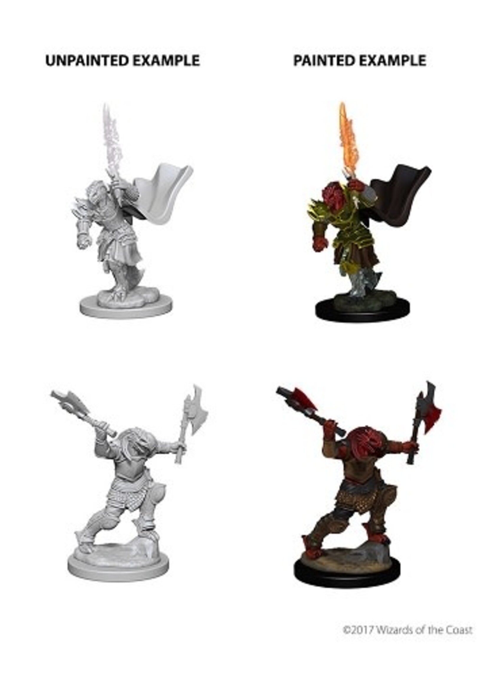 WizKids WK73199 DND Dragonborn Female Fighter WV4