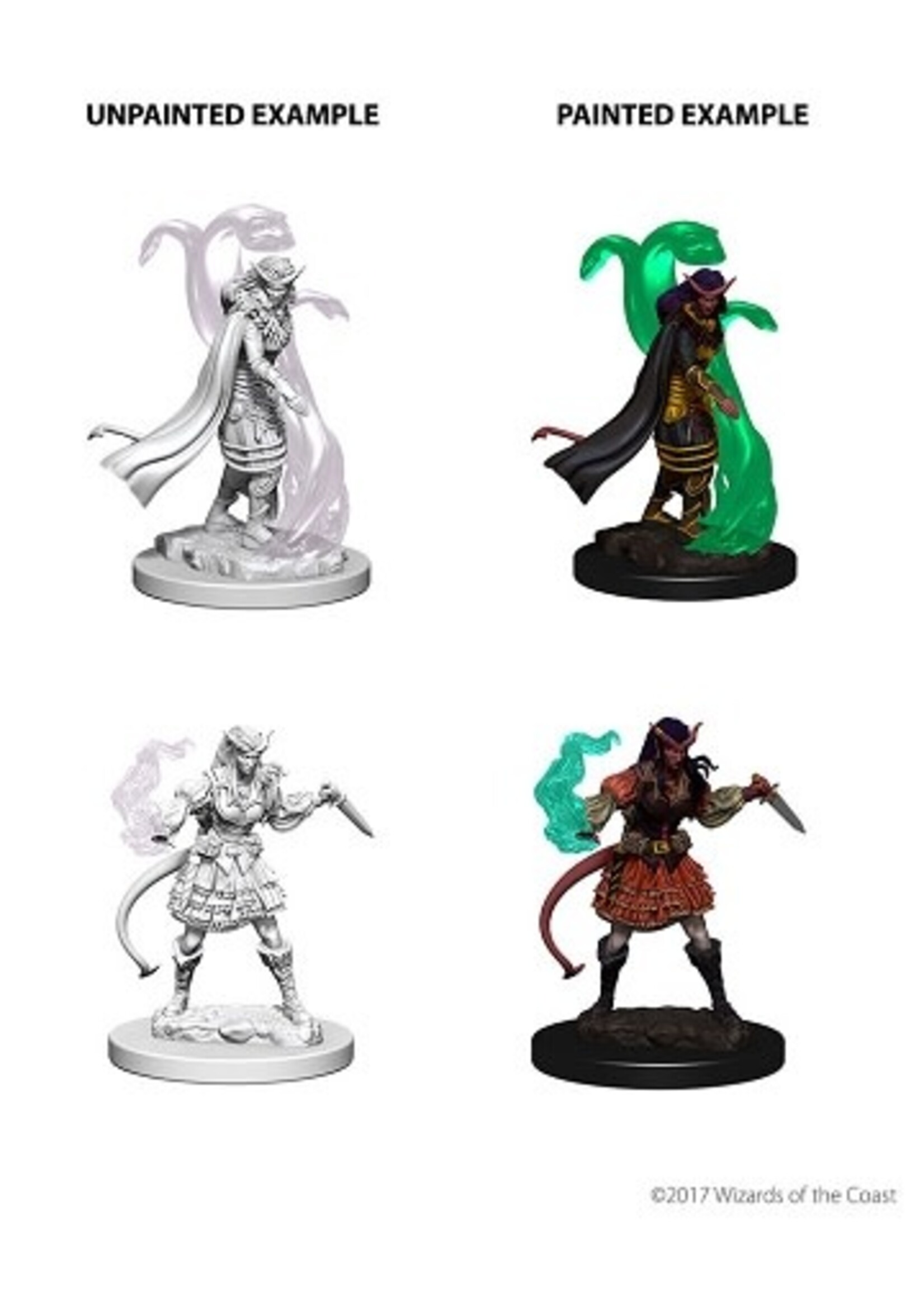 WizKids WK73202 DND Tiefling Female Sorcerer WV4