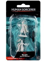 WizKids WK73832 DND Human Female Sorcerer WV10