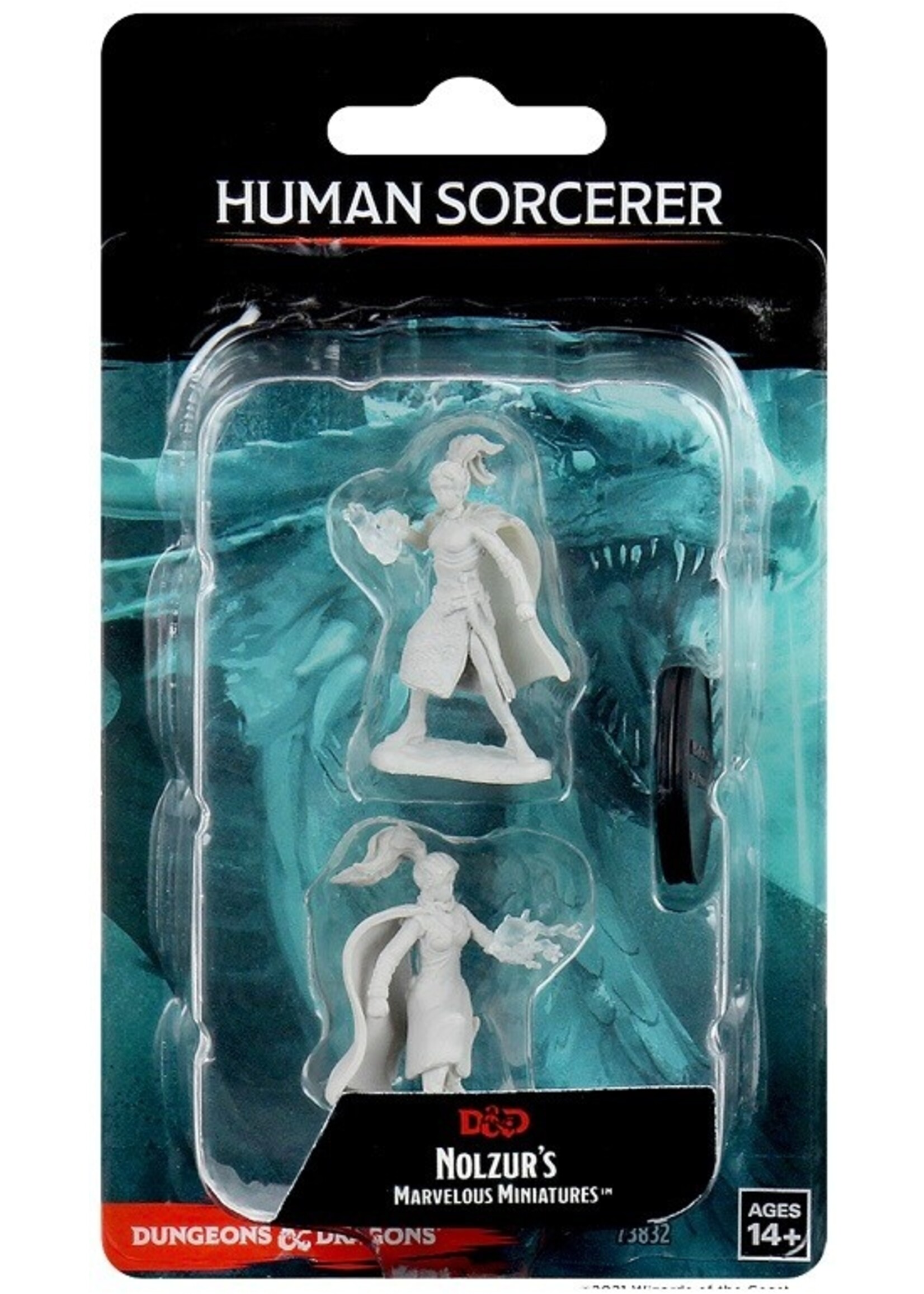 WizKids WK73832 DND Human Female Sorcerer WV10