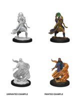 WizKids WK90005 DND Elf Male Sorcerer WV11