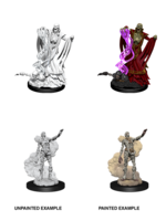 WizKids WK90020 DND Lich & Mummy Lord WV11