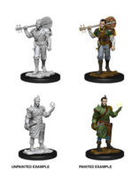 WizKids WK90055 DND Half-Elf Male Bard WV12