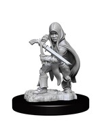 WizKids WK90139 DND Halfling Male Rogue WV13