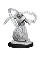 WizKids WK90140 DND Elf Male Wizard WV13