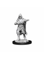 WizKids WK90168 PF Human Male Rogue WV13