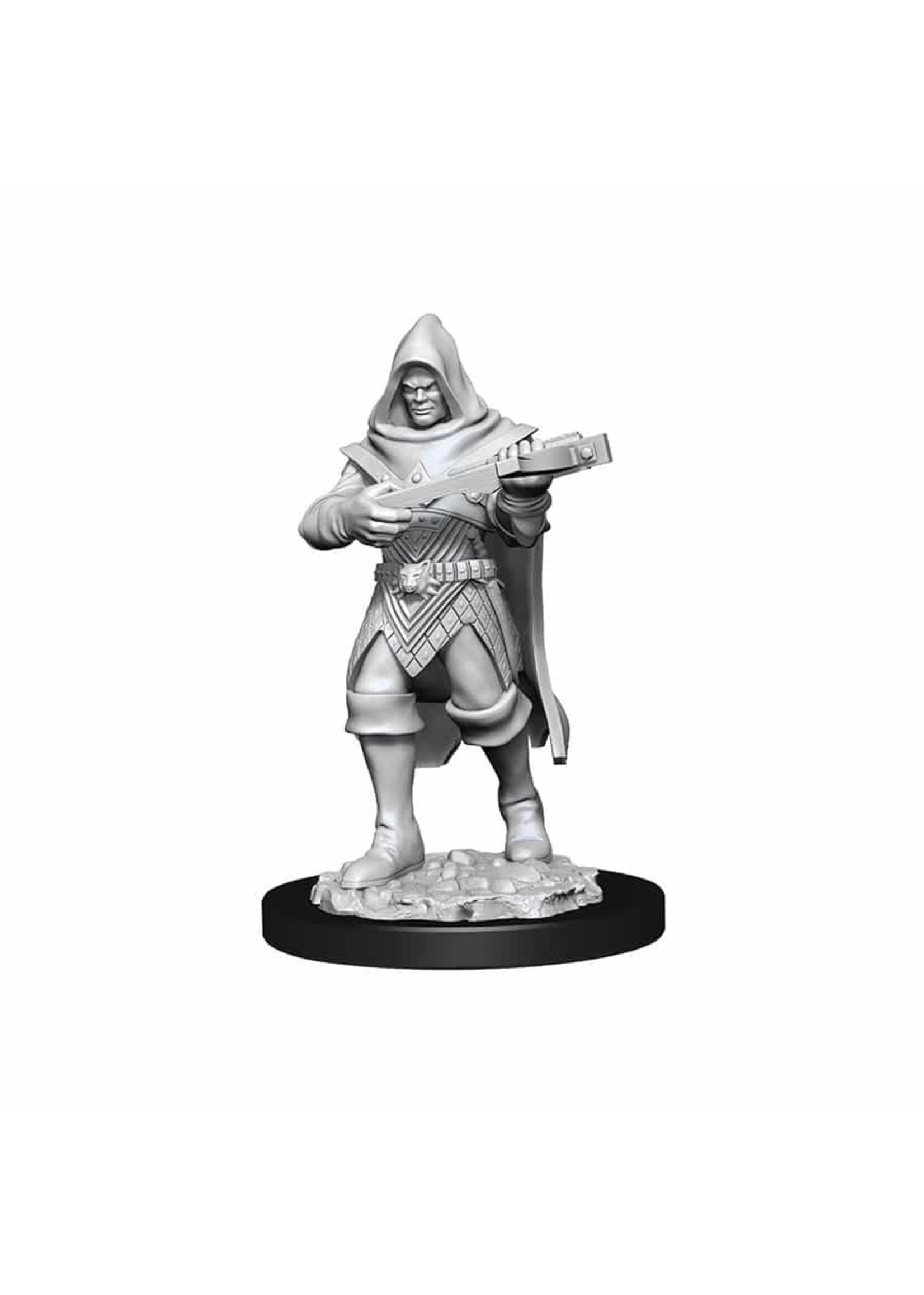 WizKids WK90168 PF Human Male Rogue WV13