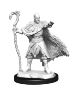 WizKids WK90221 DND Human Male Druid WV14