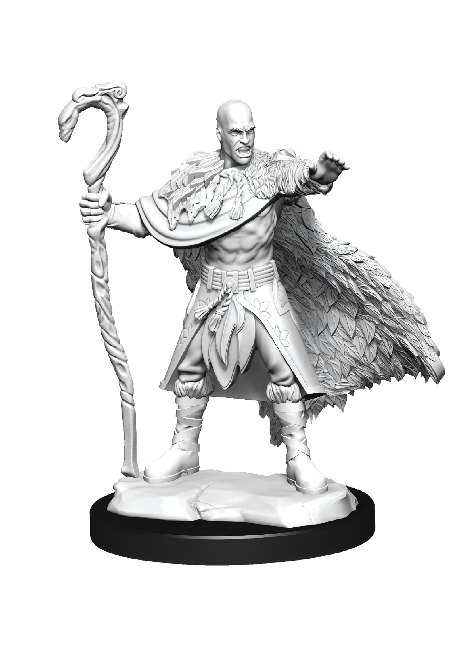 WizKids WK90221 DND Human Male Druid WV14