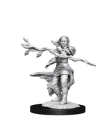 WizKids WK90223 DND Human Female Druid WV14