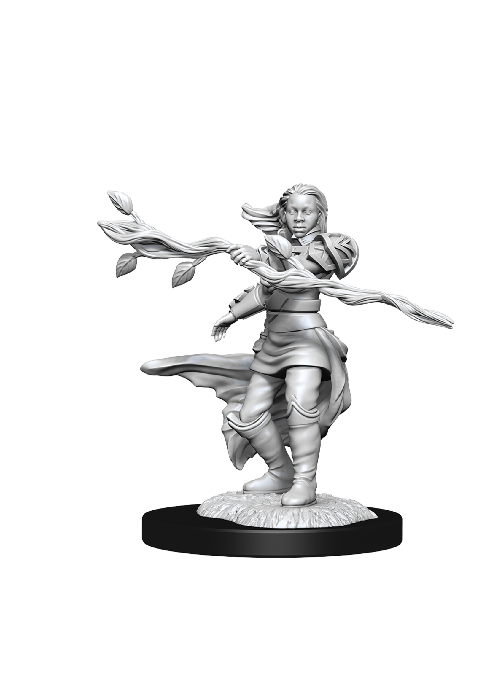 WizKids WK90223 DND Human Female Druid WV14