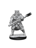 WizKids WK90224 DND Human Male Barbarian WV14