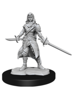 WizKids WK90228 DND Half-Elf Female Rogue WV14
