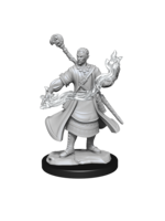 WizKids WK90229 DND Half-Elf Male Wizard WV14