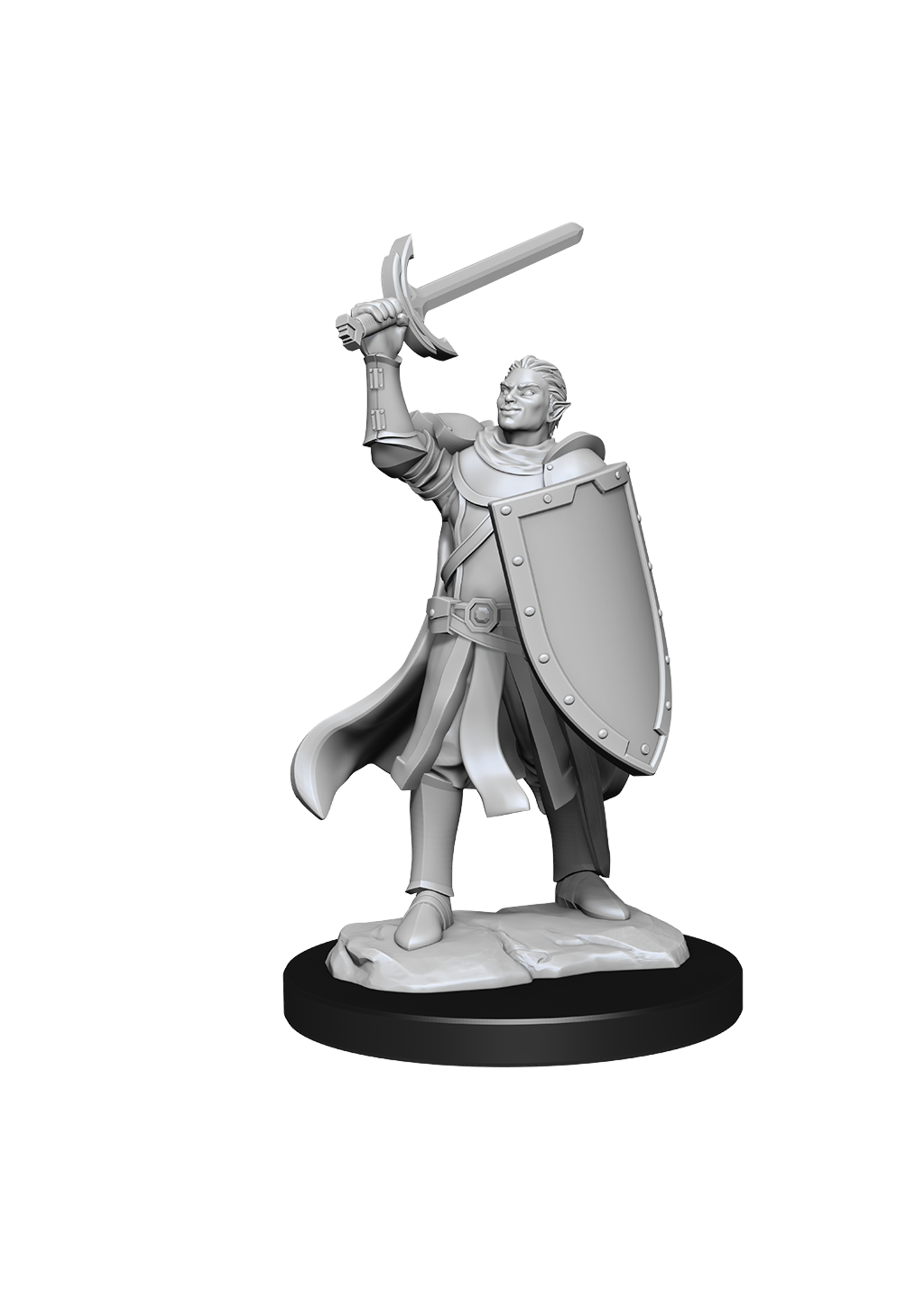 WizKids WK90230 DND Half-Elf Male Paladin WV14