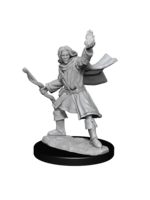 WizKids WK90262 PF Elf Male Sorcerer WV14