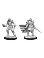 WizKids WK90302 DND Dragonborn Female Fighter WV15