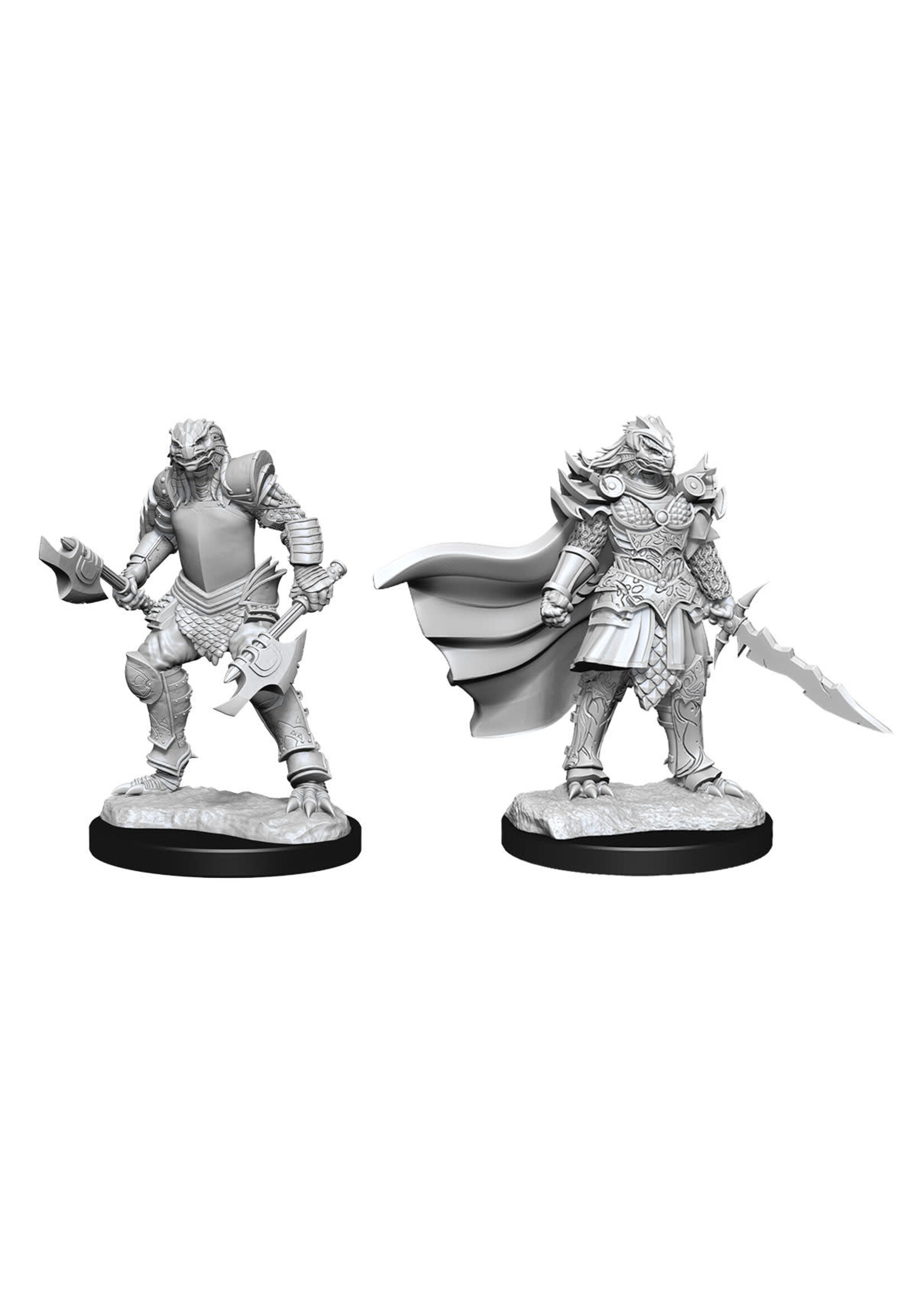 WizKids WK90302 DND Dragonborn Female Fighter WV15